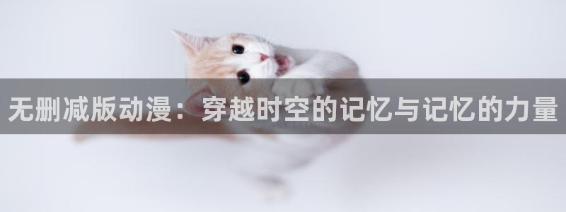 58动漫网 免费：无删减版动漫：穿越时空的记忆与记忆的力量