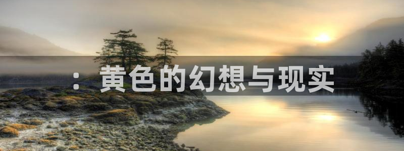 58动漫官网入口：：黄色的幻想与现实