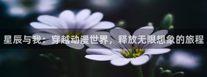 58动漫网站：星辰与我：穿越动漫世界，释放无限想象的旅程