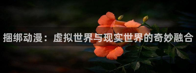 58动漫在线：捆绑动漫：虚拟世界与现实世界的奇妙融合