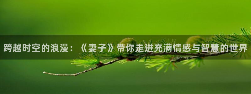 58动漫app：跨越时空的浪漫：《妻子》带你走进充满情感与智慧的世界