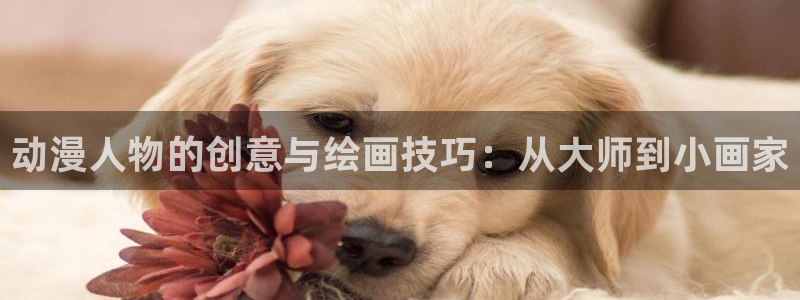 58动漫官网首页：动漫人物的创意与绘画技巧：从大师到小画家